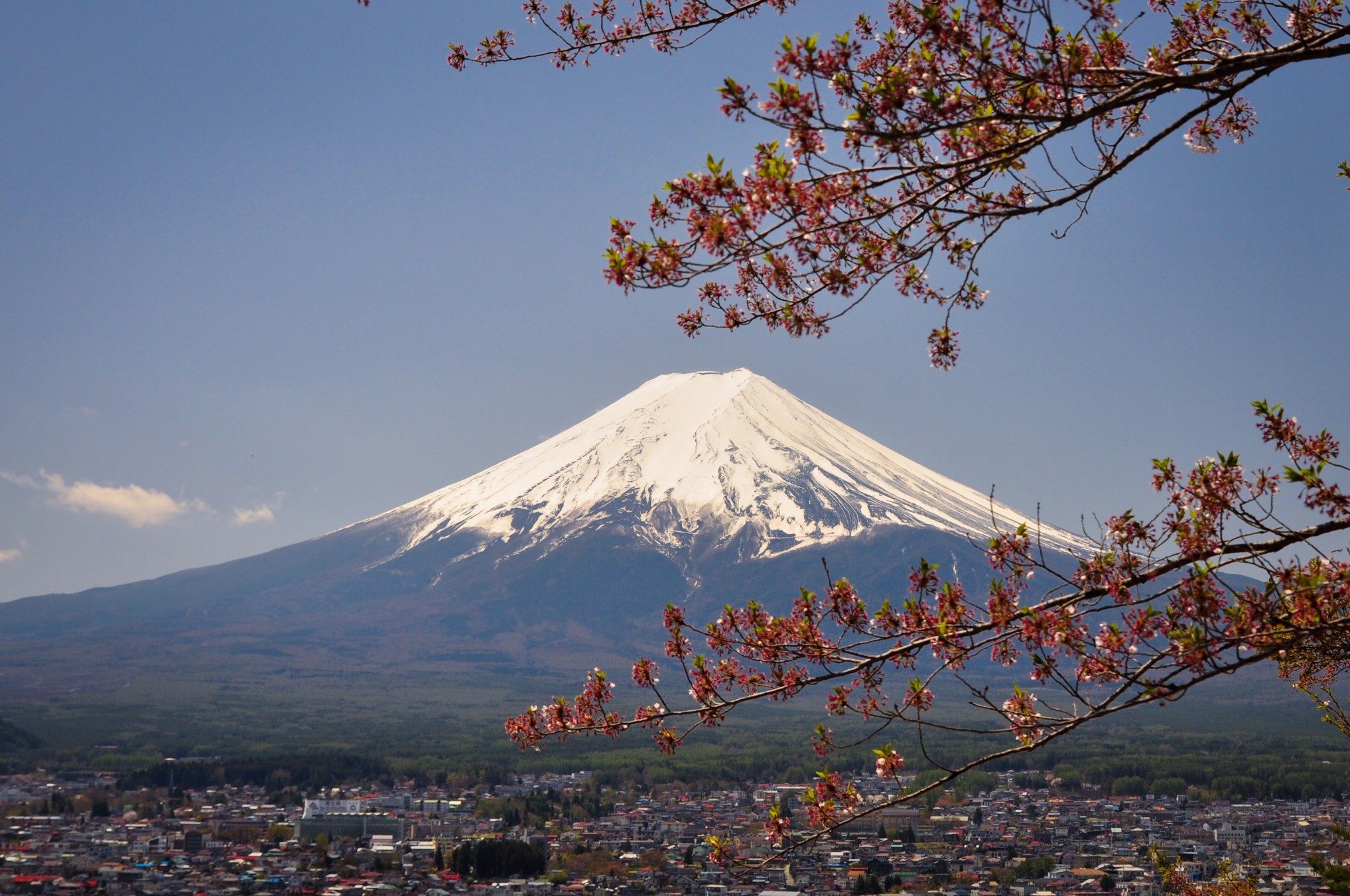 mt-fuji mt-fuji