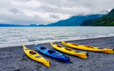 Faire du camping à Argelès-sur-Mer : pourquoi, quand et comment ?