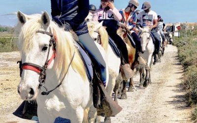 Les tresors de Camargue n’attendent que vous!