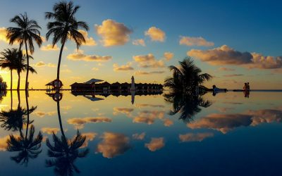 La faune et la flore des Maldives, que faut-il voir absolument ?