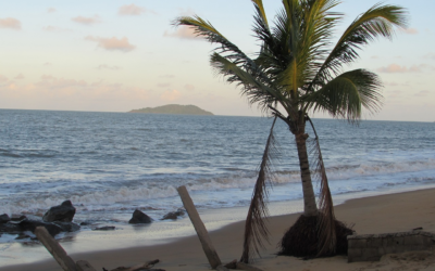 Que faire lors d’un voyage en Guyane ?